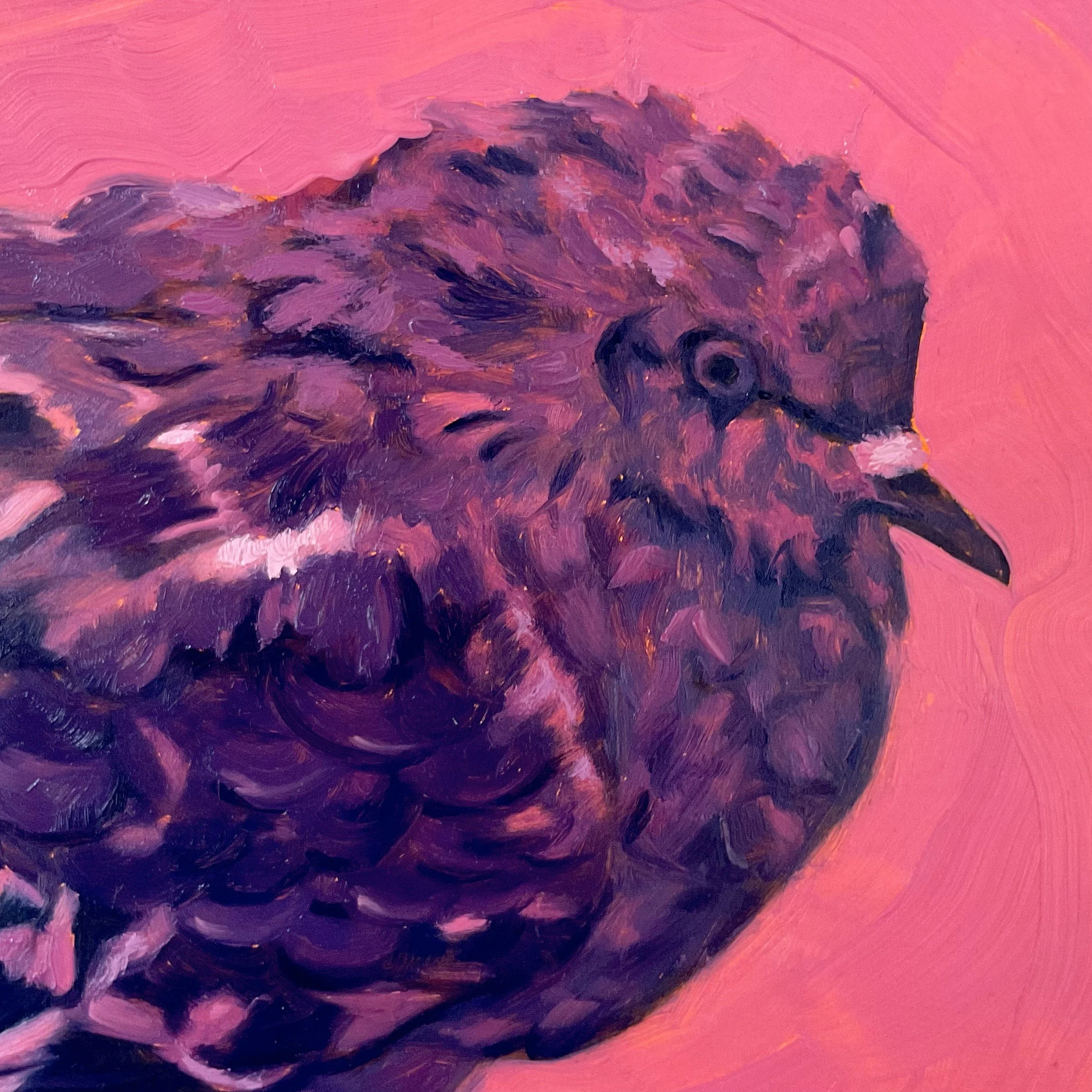 Strawberry Candy, Original Painting — Katherine Kennedy Studio